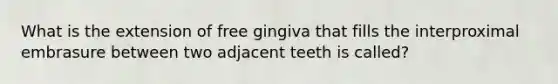 What is the extension of free gingiva that fills the interproximal embrasure between two adjacent teeth is called?