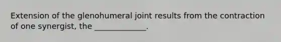 Extension of the glenohumeral joint results from the contraction of one synergist, the _____________.