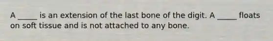 A _____ is an extension of the last bone of the digit. A _____ floats on soft tissue and is not attached to any bone.