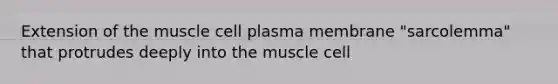 Extension of the muscle cell plasma membrane "sarcolemma" that protrudes deeply into the muscle cell