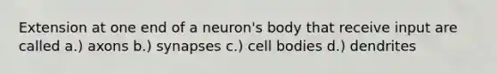 Extension at one end of a neuron's body that receive input are called a.) axons b.) synapses c.) cell bodies d.) dendrites