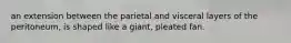 an extension between the parietal and visceral layers of the peritoneum, is shaped like a giant, pleated fan.