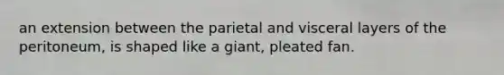 an extension between the parietal and visceral layers of the peritoneum, is shaped like a giant, pleated fan.