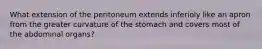 What extension of the peritoneum extends inferioly like an apron from the greater curvature of the stomach and covers most of the abdominal organs?