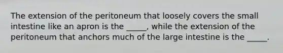 The extension of the peritoneum that loosely covers the small intestine like an apron is the _____, while the extension of the peritoneum that anchors much of the large intestine is the _____.