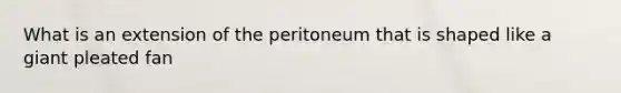 What is an extension of the peritoneum that is shaped like a giant pleated fan