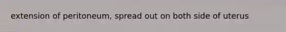 extension of peritoneum, spread out on both side of uterus