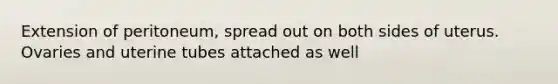 Extension of peritoneum, spread out on both sides of uterus. Ovaries and uterine tubes attached as well