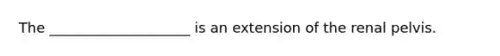 The ____________________ is an extension of the renal pelvis.