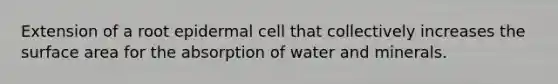 Extension of a root epidermal cell that collectively increases the surface area for the absorption of water and minerals.