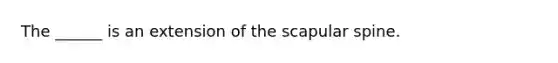 The ______ is an extension of the scapular spine.