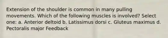 Extension of the shoulder is common in many pulling movements. Which of the following muscles is involved? Select one: a. Anterior deltoid b. Latissimus dorsi c. Gluteus maximus d. Pectoralis major Feedback