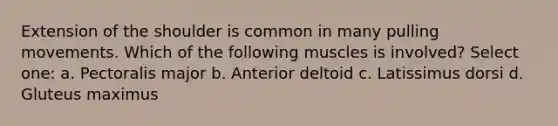 Extension of the shoulder is common in many pulling movements. Which of the following muscles is involved? Select one: a. Pectoralis major b. Anterior deltoid c. Latissimus dorsi d. Gluteus maximus