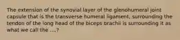 The extension of the synovial layer of the glenohumeral joint capsule that is the transverse humeral ligament, surrounding the tendon of the long head of the biceps brachii is surrounding it as what we call the ....?