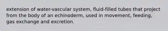 extension of water-vascular system, fluid-filled tubes that project from the body of an echinoderm, used in movement, feeding, gas exchange and excretion.