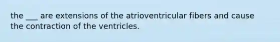 the ___ are extensions of the atrioventricular fibers and cause the contraction of the ventricles.