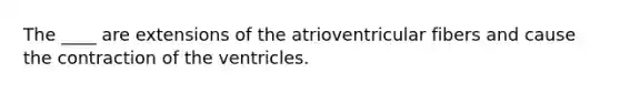 The ____ are extensions of the atrioventricular fibers and cause the contraction of the ventricles.