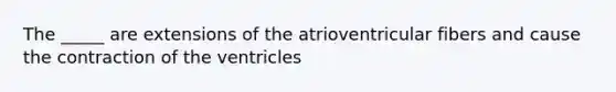 The _____ are extensions of the atrioventricular fibers and cause the contraction of the ventricles