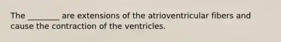 The ________ are extensions of the atrioventricular fibers and cause the contraction of the ventricles.