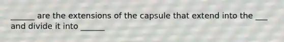 ______ are the extensions of the capsule that extend into the ___ and divide it into ______