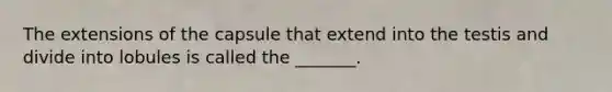 The extensions of the capsule that extend into the testis and divide into lobules is called the _______.