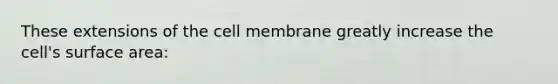 These extensions of the cell membrane greatly increase the cell's surface area: