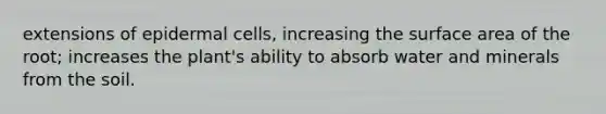 extensions of epidermal cells, increasing the surface area of the root; increases the plant's ability to absorb water and minerals from the soil.