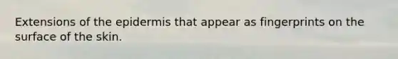 Extensions of the epidermis that appear as fingerprints on the surface of the skin.