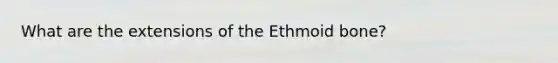 What are the extensions of the Ethmoid bone?