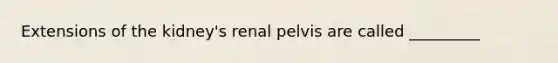 Extensions of the kidney's renal pelvis are called _________