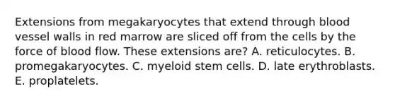 Extensions from megakaryocytes that extend through blood vessel walls in red marrow are sliced off from the cells by the force of blood flow. These extensions are? A. reticulocytes. B. promegakaryocytes. C. myeloid stem cells. D. late erythroblasts. E. proplatelets.