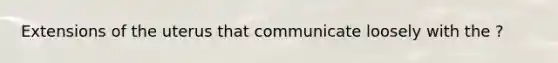 Extensions of the uterus that communicate loosely with the ?