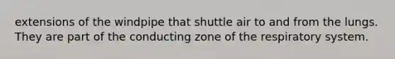 extensions of the windpipe that shuttle air to and from the lungs. They are part of the conducting zone of the respiratory system.