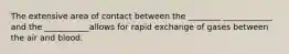 The extensive area of contact between the ________ ____________ and the ___________allows for rapid exchange of gases between the air and blood.