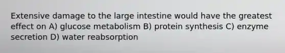 Extensive damage to the <a href='https://www.questionai.com/knowledge/kGQjby07OK-large-intestine' class='anchor-knowledge'>large intestine</a> would have the greatest effect on A) glucose metabolism B) <a href='https://www.questionai.com/knowledge/kVyphSdCnD-protein-synthesis' class='anchor-knowledge'>protein synthesis</a> C) enzyme secretion D) water reabsorption