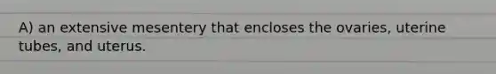 A) an extensive mesentery that encloses the ovaries, uterine tubes, and uterus.
