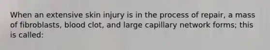 When an extensive skin injury is in the process of repair, a mass of fibroblasts, blood clot, and large capillary network forms; this is called: