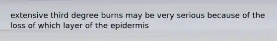 extensive third degree burns may be very serious because of the loss of which layer of the epidermis