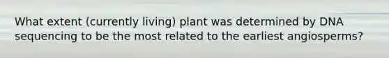 What extent (currently living) plant was determined by DNA sequencing to be the most related to the earliest angiosperms?