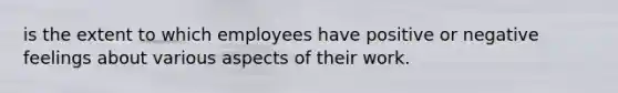 is the extent to which employees have positive or negative feelings about various aspects of their work.