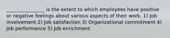 ________________ is the extent to which employees have positive or negative feelings about various aspects of their work. 1) Job involvement 2) Job satisfaction 3) Organizational commitment 4) Job performance 5) Job enrichment