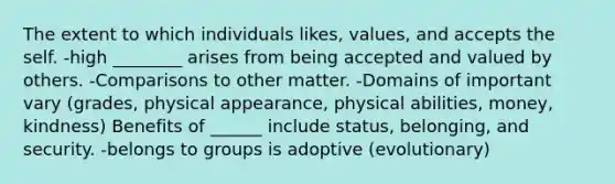 The extent to which individuals likes, values, and accepts the self. -high ________ arises from being accepted and valued by others. -Comparisons to other matter. -Domains of important vary (grades, physical appearance, physical abilities, money, kindness) Benefits of ______ include status, belonging, and security. -belongs to groups is adoptive (evolutionary)