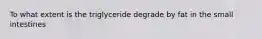 To what extent is the triglyceride degrade by fat in the small intestines