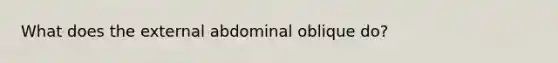 What does the external abdominal oblique do?