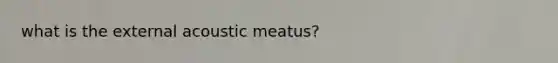 what is the external acoustic meatus?