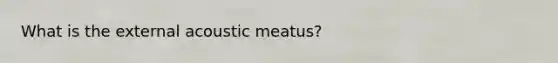 What is the external acoustic meatus?