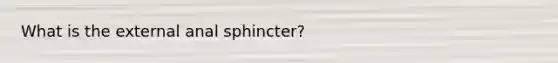 What is the external anal sphincter?