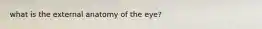what is the external anatomy of the eye?