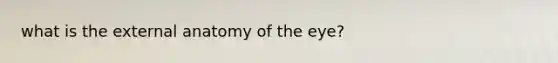 what is the external anatomy of the eye?