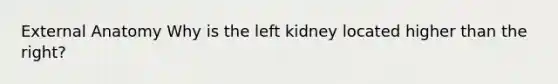 External Anatomy Why is the left kidney located higher than the right?